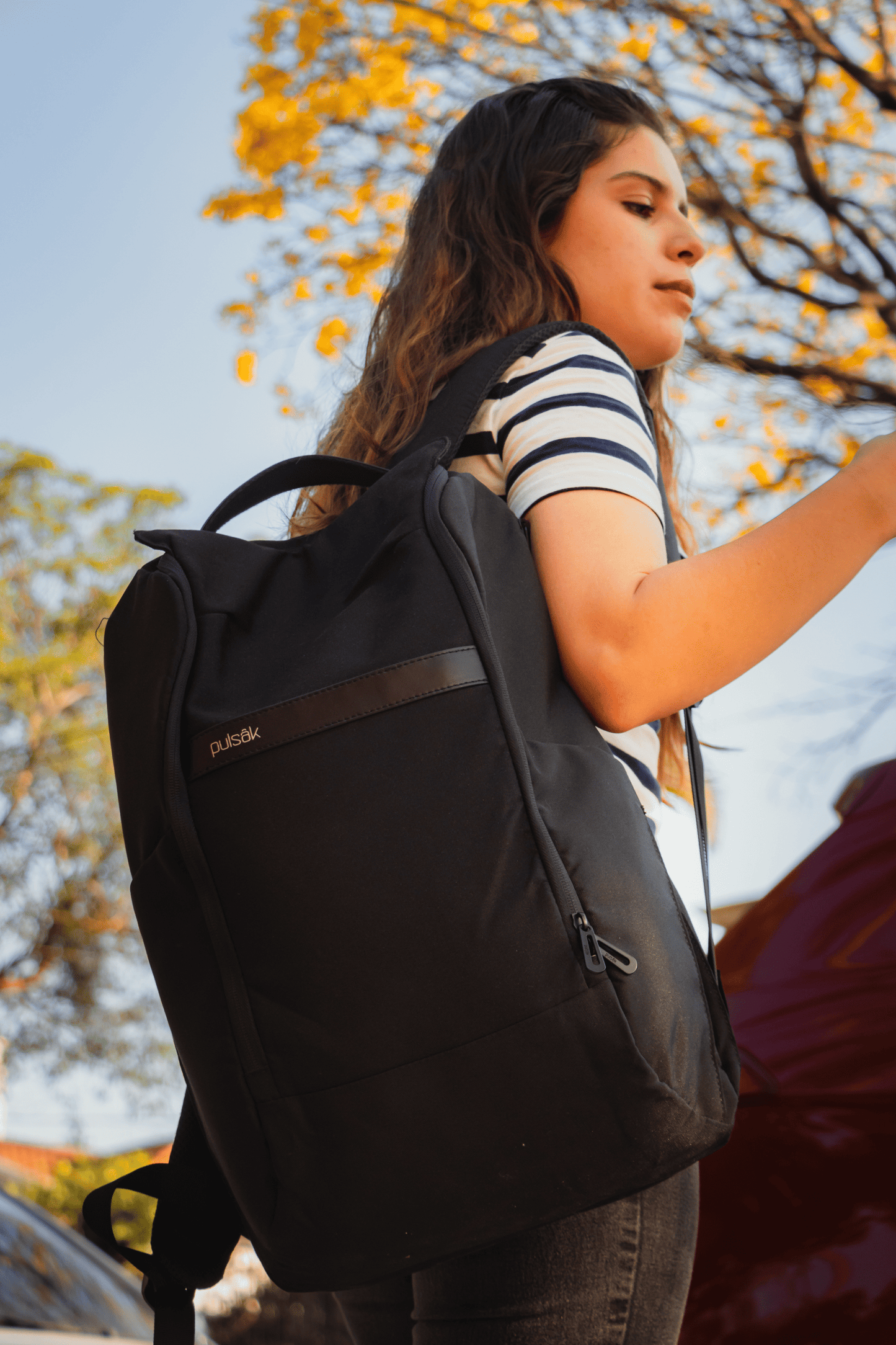 Trek Bag